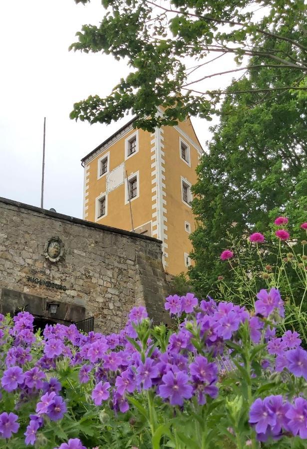 Cosis Ferienwohnung โฮห์นสไตน์ ภายนอก รูปภาพ